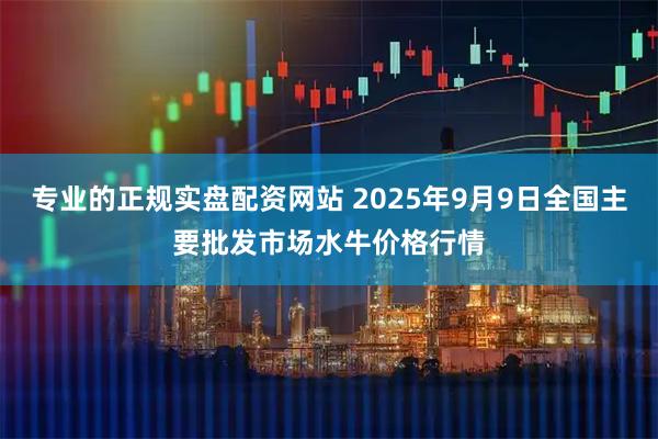 专业的正规实盘配资网站 2025年9月9日全国主要批发市场水牛价格行情